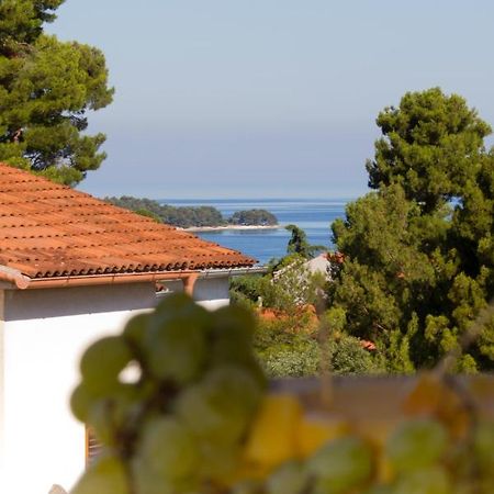 Studio Apartman Nega 2 Rovinj Buitenkant foto
