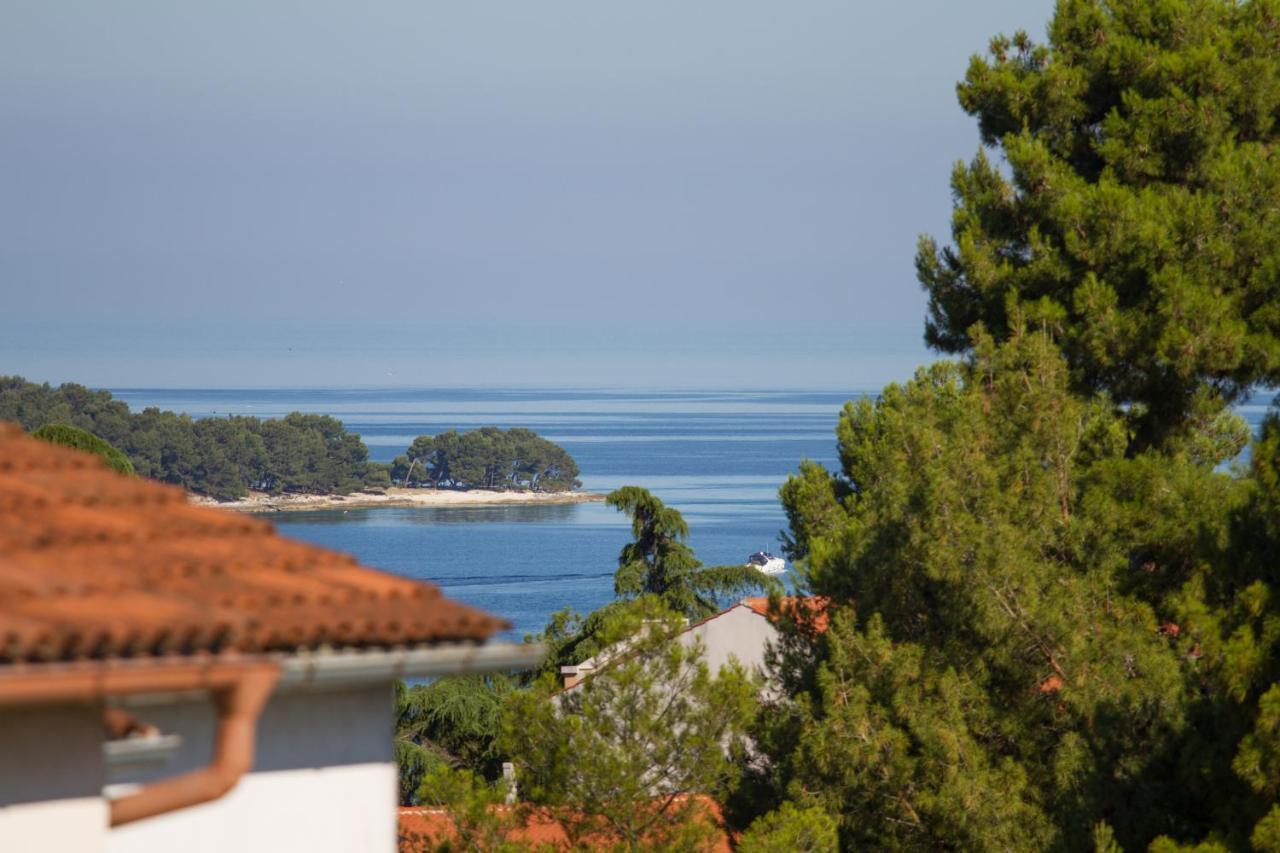 Studio Apartman Nega 2 Rovinj Buitenkant foto
